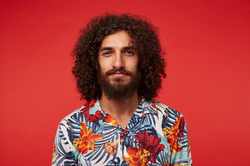 Close-up of attractive young brunette male with lush beard and curly hair looking positively to camera and smiling slightly, keeping lips folded while posing against red background