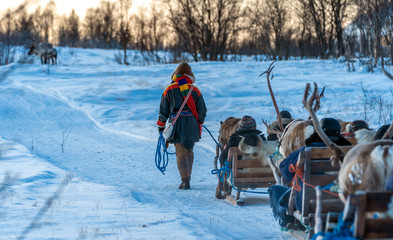 25.11.19 Norway . Tromso . Sami guides with tourists,.Reindeer sledding, the oldest means of transportation in the North