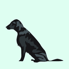 Setter Silhouette of a dog