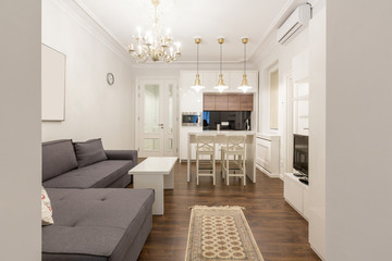 Small open plan apartment interior