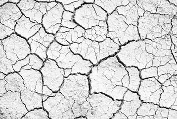 Cracks of topsoil, white and black surfaces for background