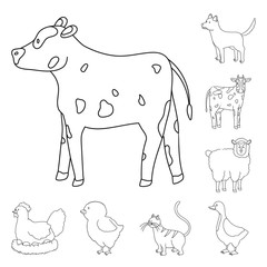 Vector illustration of homemade and countryside sign. Set of homemade and agriculture vector icon for stock.