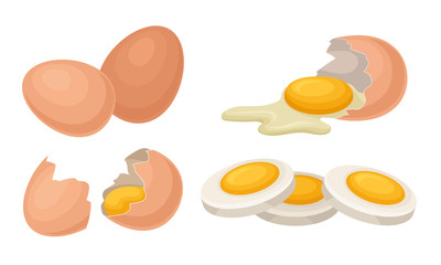 Fresh and Cooked Eggs Set, Broken Eggs with Cracked Shell, Healthy Organic Food Vector Illustration