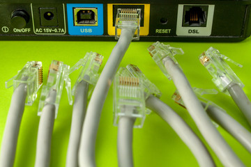 The struggle for a place in the network. Among the many network wires, one winner received a place...