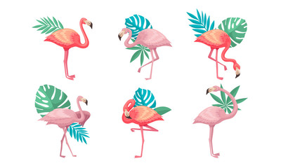 Fototapeta premium Collection of Beautiful Pink Flamingos, Tropical Exotic Birds with Palm Leaves Vector Illustration