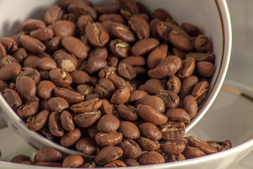Close-up coffee beans in an inverted cup and saucer.