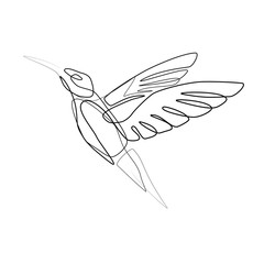 Hummingbird one line vector shape
