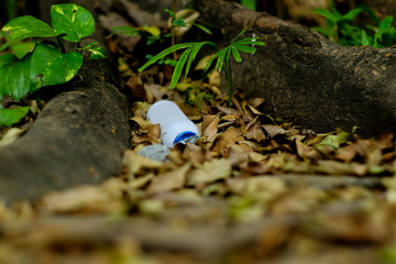 Plastic bottle garbage under the big tree.