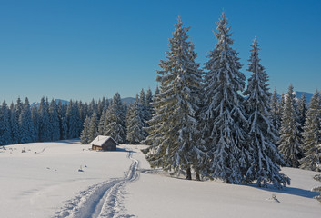 Fototapeta na wymiar Snowy trees, little house in mountains and ski trail