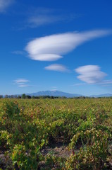 Fototapeta na wymiar nuage lenticulaire avec le vent et canigou en pyrénées orientales