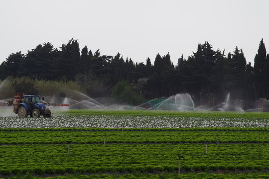 Arrosage de pesticide produit phytosanitaire sur un champ de culture pollution