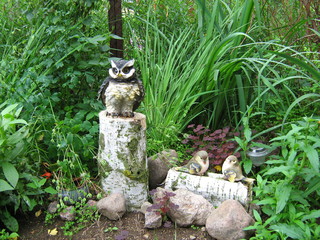 Still life with two toy birds Tits, toy owl on a birch log near a Large Stone, grass and nightlight.