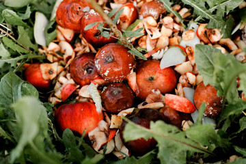 Food wastage in a garden. Throwing fresh food as environmental problem. Earth nutrition and organic...