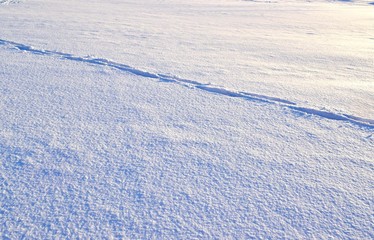 footprints of a man on a snowy surface