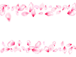 Pink sakura petals confetti flying and falling