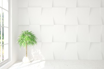 Empty room in white color. Scandinavian interior design. 3D illustration