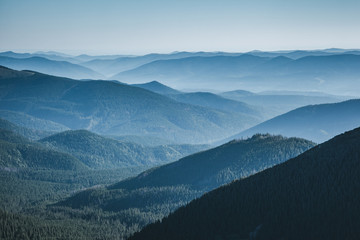 Obraz premium The valley is covered with dense forest. Location Carpathian national park, Ukraine, Europe.