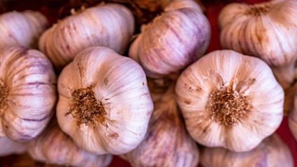 Garlic background. Ripe and dry garlic bulbs.
