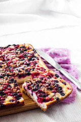 Closeup of berry pie with cottage cheese cut on square slices