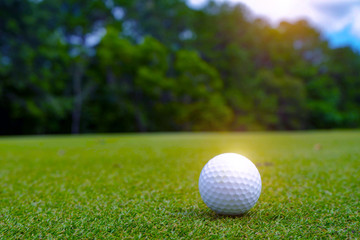 Golf ball on green in beautiful golf course at sunset background.