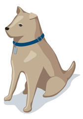 Isometric Japanese dog vector illustration with white background.