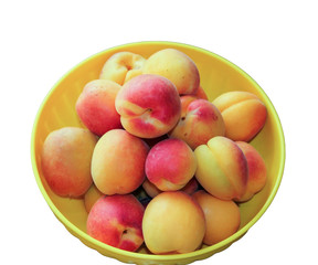 Ripe apricots in a bowl isolated on white