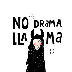 No drama llama hand drawing lettering. caricature lama with decorative elements. Flat simple vector illustration. Hand drawing for children. baby design for posters, prints on t-shirts, cards