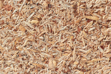 Texture plate OSB close-up (macro), light background of compressed sawdust.