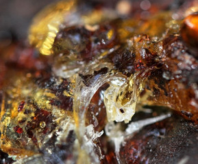 Resin with a color spectrum on the cherry tree