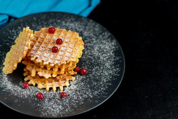Traditional Belgian waffles with fresh fruits, sprinkled with powdered sugar and cocoa. You can eat for breakfast with compote or coffee. Holiday breakfast. Copy space.  
