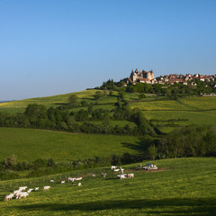 chateau neuf en auxois