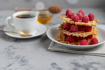 Traditional Belgian waffles with fresh fruits, sprinkled with powdered sugar and cocoa. You can eat for breakfast with compote or coffee. Holiday breakfast. Copy space.  