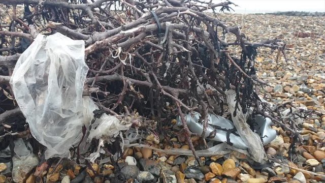 Plastic pollution caught in driftwood on a beach