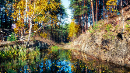 Autumn forest lake. 