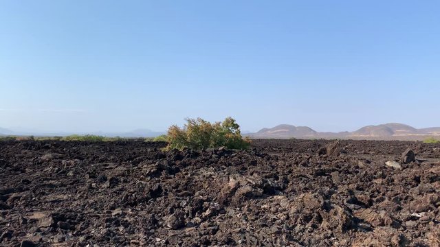 Pan over amazing rocky volcanic landscape with black and brown ground. Shetani lava flows in Tsavo West National Park, Kenya, Africa.