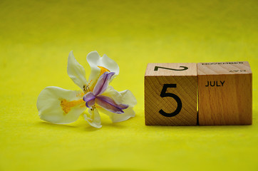 5 July on wooden blocks with an african iris on a yellow background