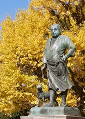 A bronze statue of Japanese statesman Saigo Takamori stands against a backdrop of golden gingko trees at Ueno Park in central Tokyo, Japan. 
