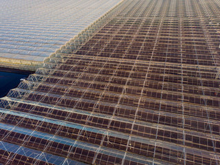 aerial view of a modern agricultural greenhouse in the Netherlands that uses artificial light to support the growth of the plants; Westland, Netherlands