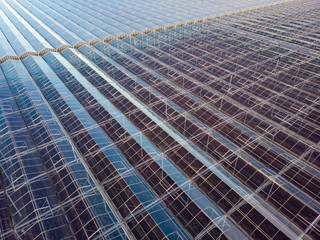 aerial view of a modern agricultural greenhouse in the Netherlands that uses artificial light to support the growth of the plants; Westland, Netherlands