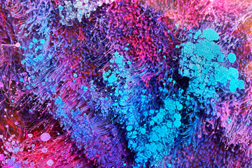 Epoxy Resin Petri Dish Art macro photo