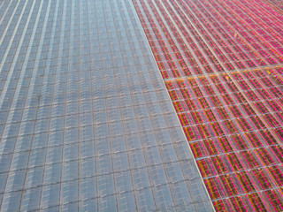 aerial view of a modern agricultural greenhouse in the Netherlands that uses LED lights to support the growth of the plants; Westland, Netherlands