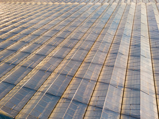 aerial view of a modern agricultural greenhouse in the Netherlands that uses artificial light to support the growth of the plants; Westland, Netherlands