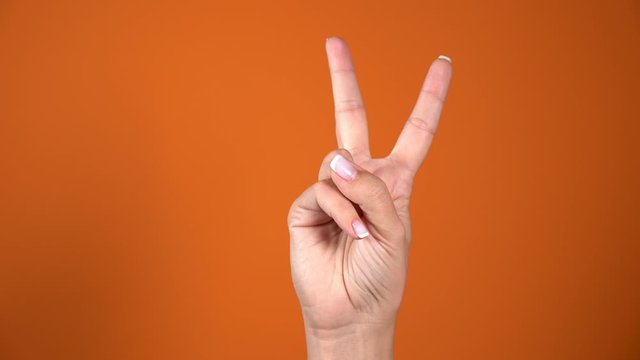 Closeup view of one beautiful female hand isolated at vivid orange background showing two fingers up making v or victory sign. Real time 4k video footage.
