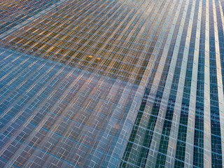 aerial view of a modern agricultural greenhouse in the Netherlands that uses artificial light to support the growth of the plants; Westland, Netherlands