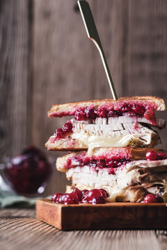 Thanksgiving Turkey Sandwich With Brie Cheese And Cranberry Sauce