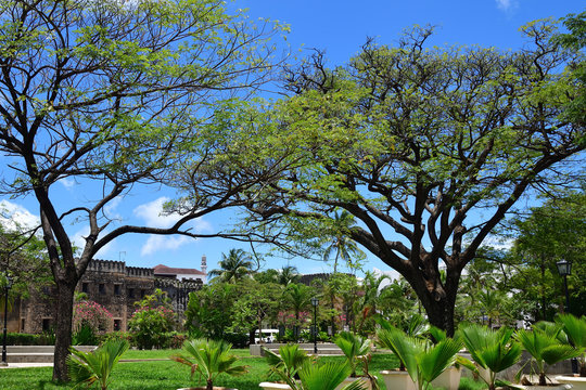  Forodhani park, Zanzibar, Tanzania. Africa