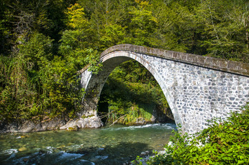 bridge over the river