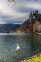 Exciting views along Lake Bled. slovenia
