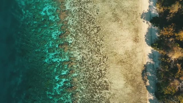 Flying over a beach following the coast line looking straight down