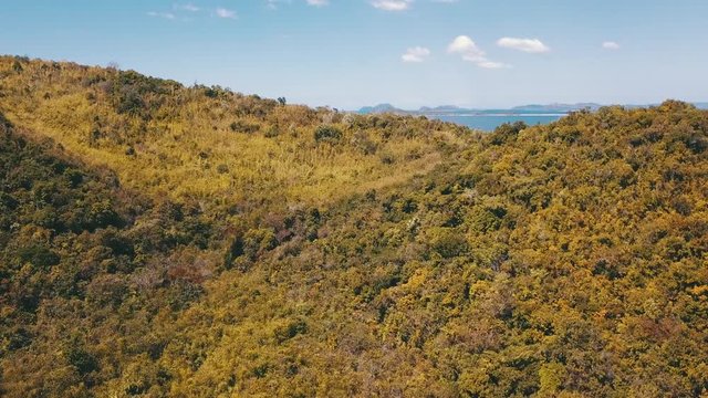 forward flight over trees an a island revealing the ocean at the background